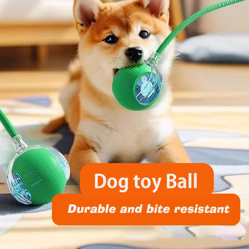 Interactive Rolling Dog Ball Toy – Rechargeable Motion