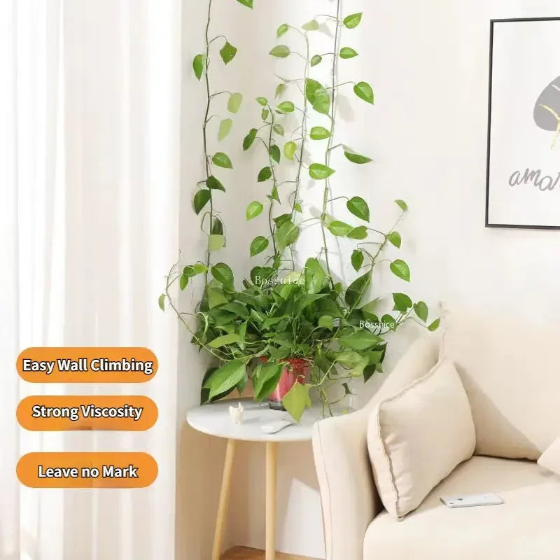 Plant Climbing Wall Clips – Seamless Adhesive Supports