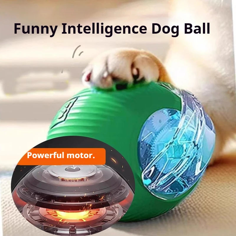 Interactive Rolling Dog Ball Toy – Rechargeable Motion