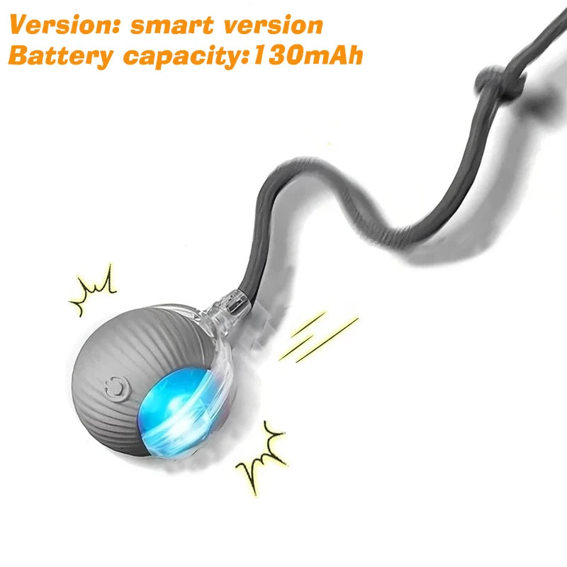Gray Tail Ball Color Interactive Rolling Dog Ball Toy – Rechargeable Motion