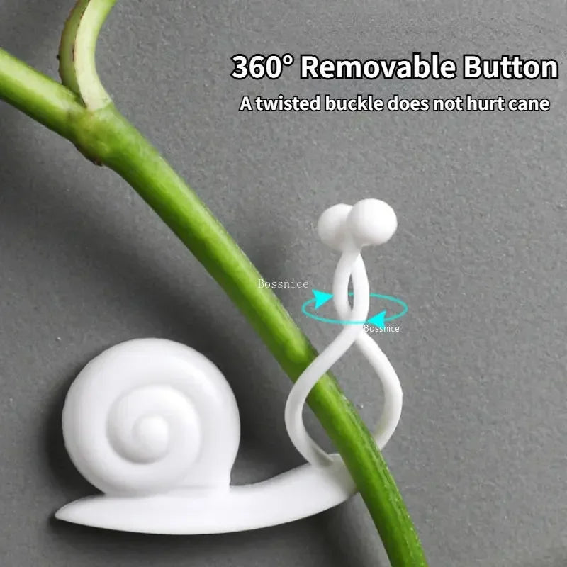 Plant Climbing Wall Clips – Seamless Adhesive Supports