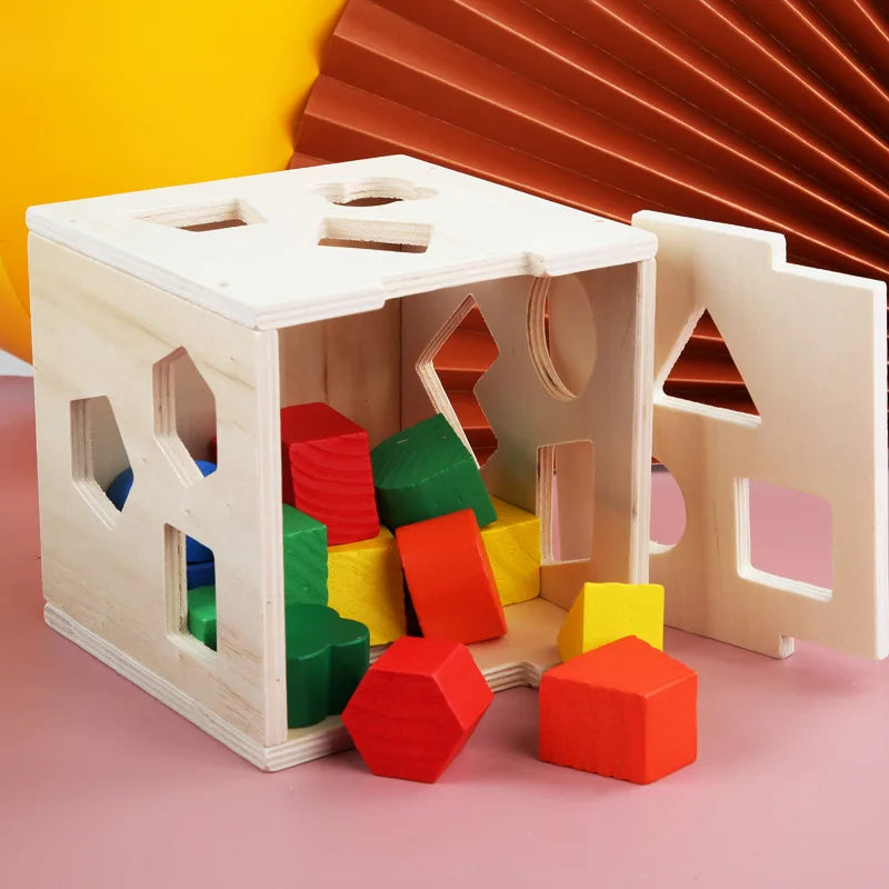 Multicolor Color Montessori Wooden Shape Sorting Intelligence Box