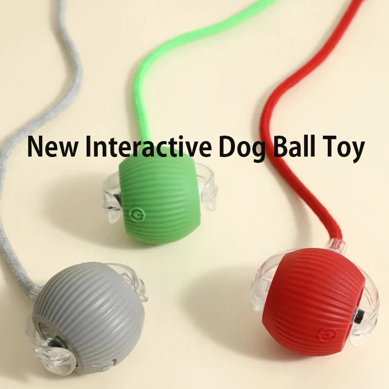 Interactive Rolling Dog Ball Toy – Rechargeable Motion
