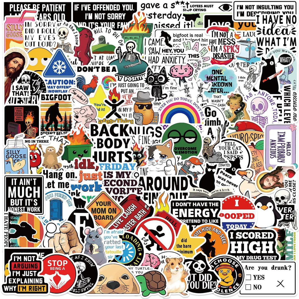 100-Piece Cartoon Meme Sticker Pack For Laptops & More
