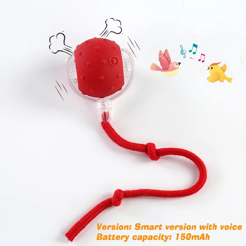 Red with sound Color Interactive Rolling Dog Ball Toy – Rechargeable Motion