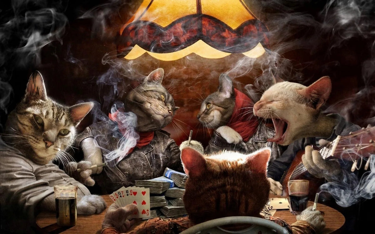Cats game Color 500-Piece Landscape Jigsaw Puzzle Paper Art 46 x 28 cm