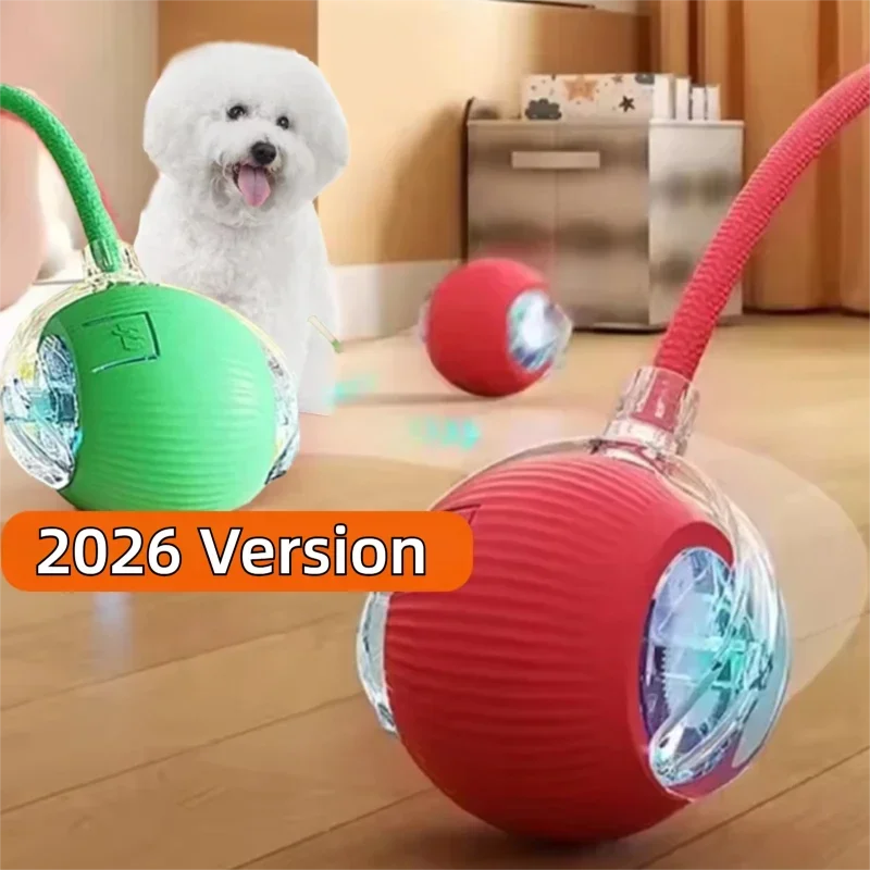 Interactive Rolling Dog Ball Toy – Rechargeable Motion