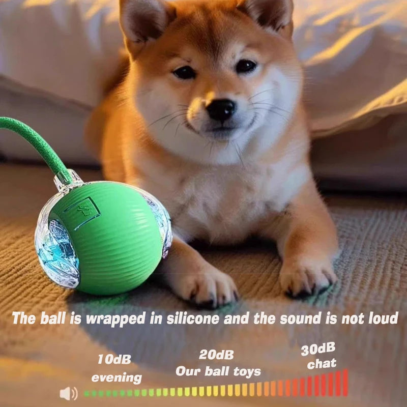 Interactive Rolling Dog Ball Toy – Rechargeable Motion
