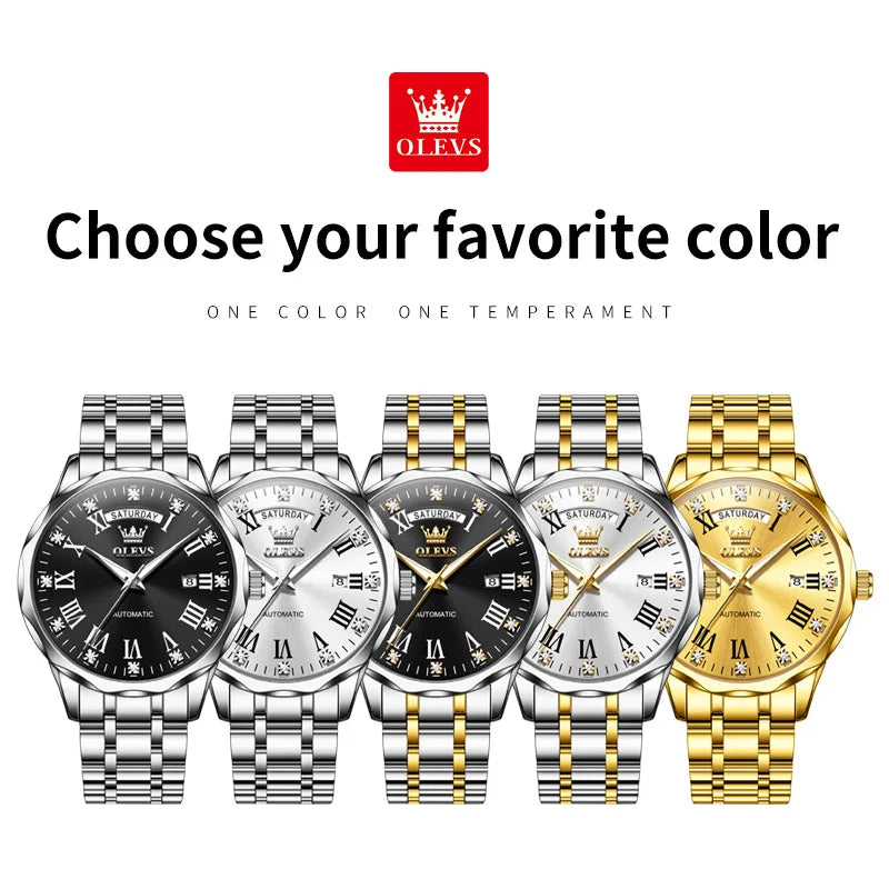 Automatic Mechanical Business Watch With Roman Dial