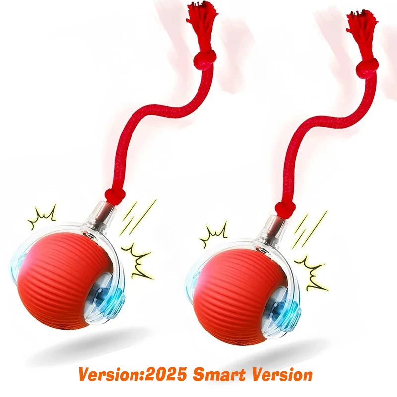 Red Tail Ball 2pcs Color Interactive Rolling Dog Ball Toy – Rechargeable Motion